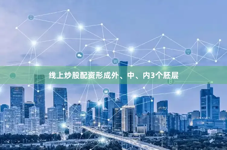 线上炒股配资形成外、中、内3个胚层