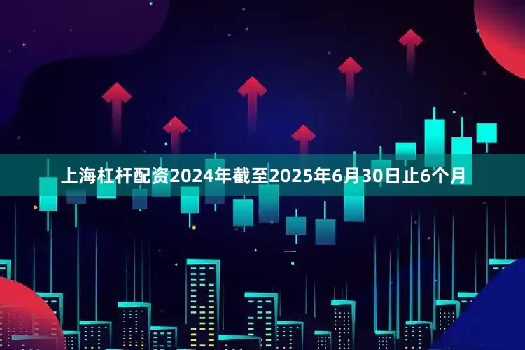 上海杠杆配资2024年截至2025年6月30日止6个月