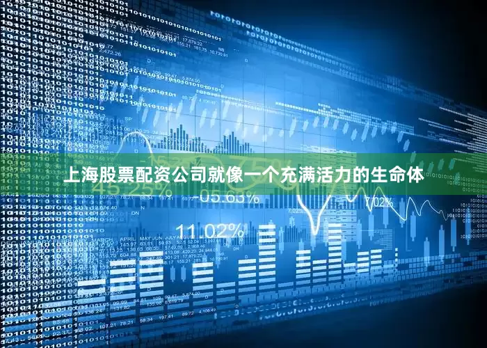 上海股票配资公司就像一个充满活力的生命体