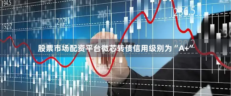 股票市场配资平台微芯转债信用级别为“A+”