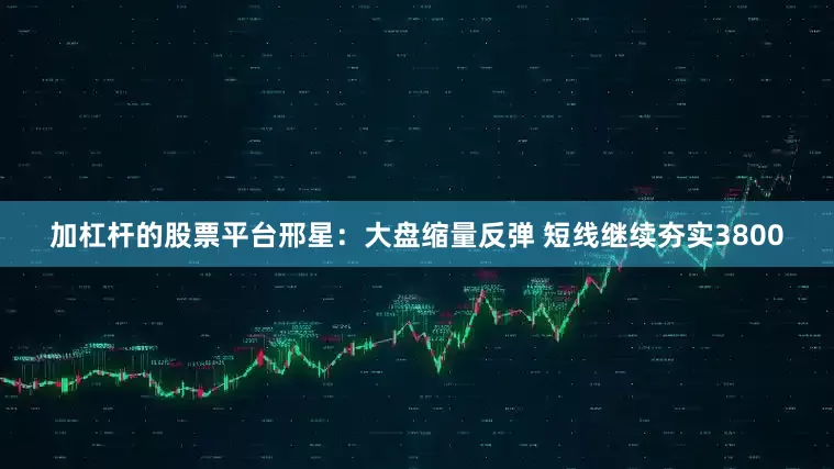 加杠杆的股票平台邢星：大盘缩量反弹 短线继续夯实3800
