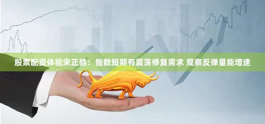 股票配资体验宋正皓：指数短期有震荡修复需求 观察反弹量能增速